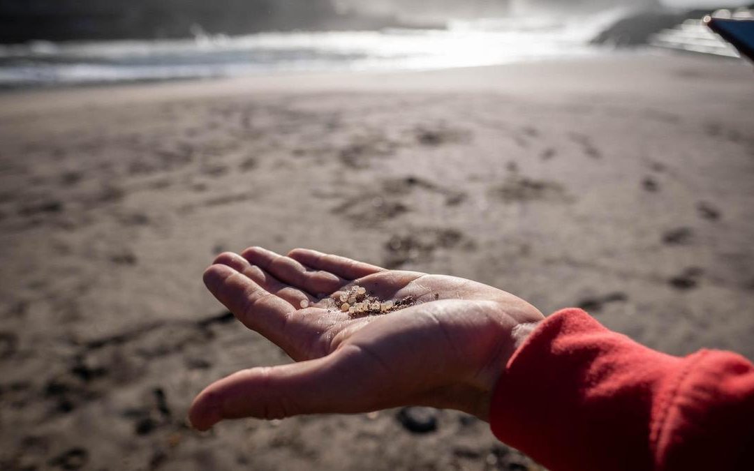 ¿Qué pasa con los pellets en Canarias?