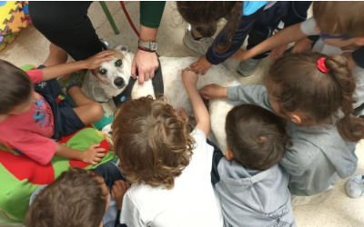 Fundación Canarina promueve el bienestar animal con la FECAPAP