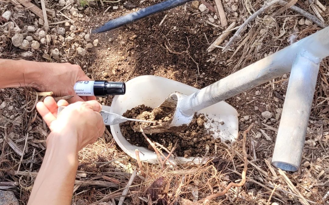 Visita del ICIA a la Finca Tamaide para análisis del suelo. 