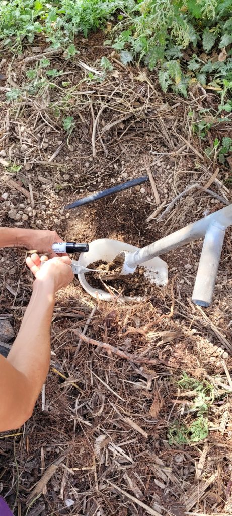 Imágenes del ICIA extrayendo sustrato en la Finca Tamaide
