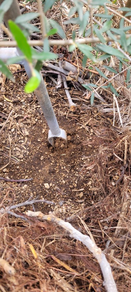 Imágenes del ICIA extrayendo sustrato en la Finca Tamaide