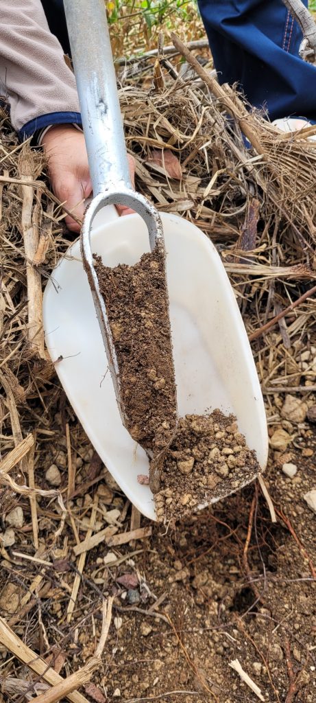 Imágenes del ICIA extrayendo sustrato en la Finca Tamaide