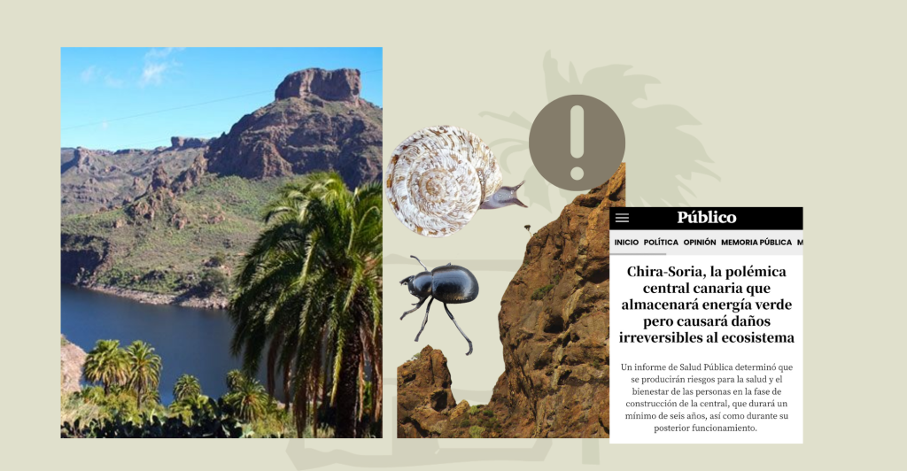 Atentado Medioambiental Chira-Soria e impacto en ecosistemas terrestres