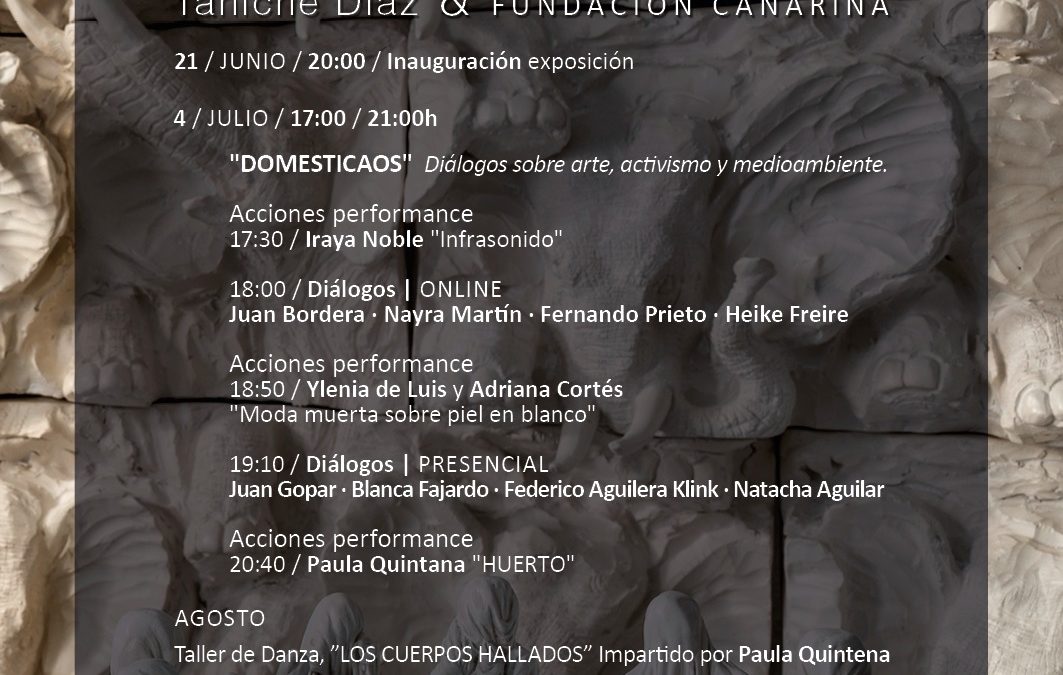 Jornada de Diálogos DOMESTICAOS