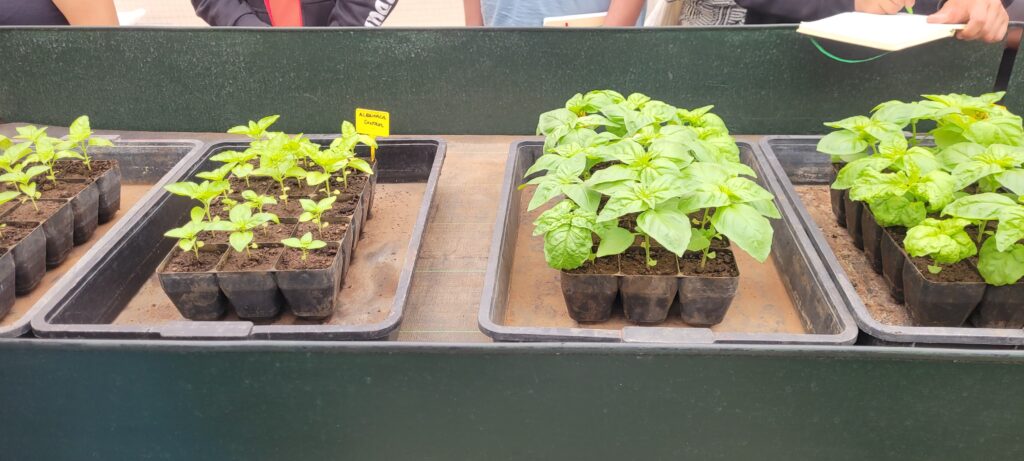 Hacia una Agricultura Más Sostenible