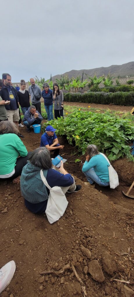 Hacia una Agricultura Más Sostenible