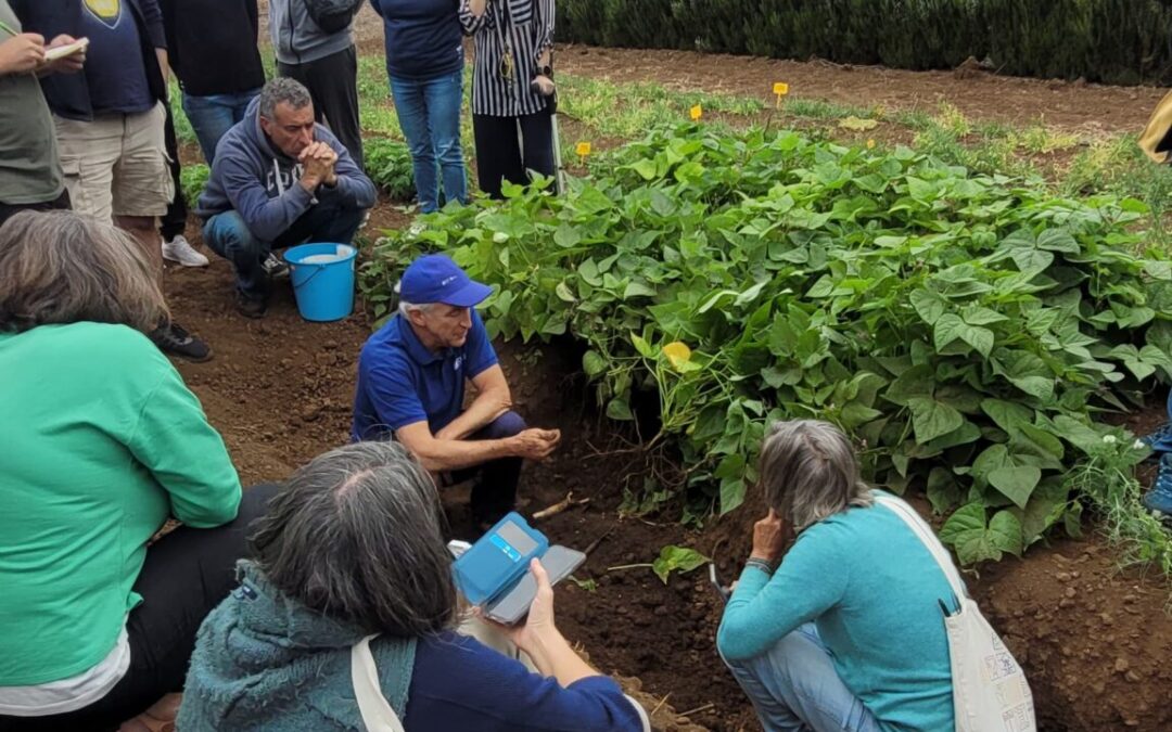 Curso de Restauración de la Fertilidad de los Suelos