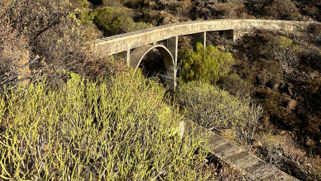 agua y su problemática en tenerife