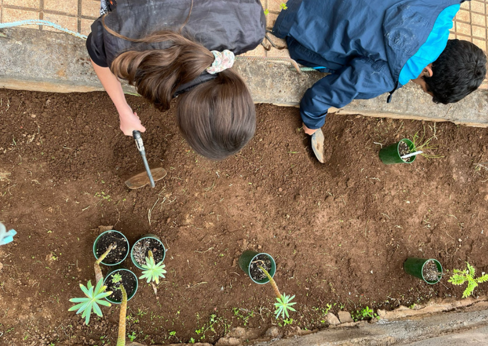 Los centros educativos y el cambio climático en Canarias