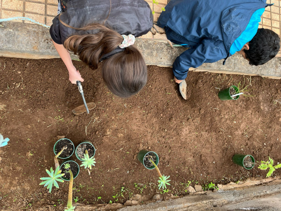 Plantas autóctonas en centros escolares