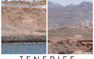 Defender el territorio: la urgente necesidad de proteger Canarias