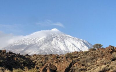 Los microclimas de Canarias
