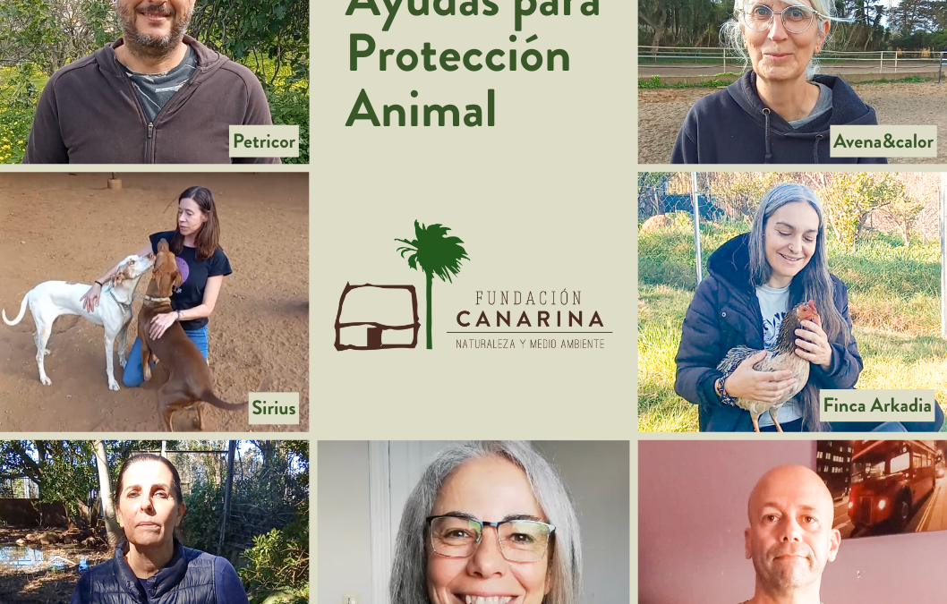 Cierre de la PRIMERA CONVOCATORIA de ayudas para la protección animal en Canarias