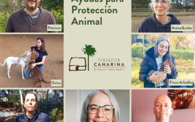 Cierre de la PRIMERA CONVOCATORIA de ayudas para la protección animal en Canarias