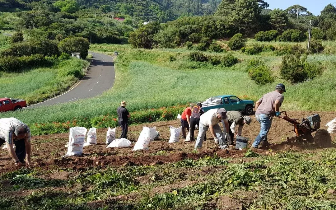 La agricultura familiar y su impacto en el desarrollo rural
