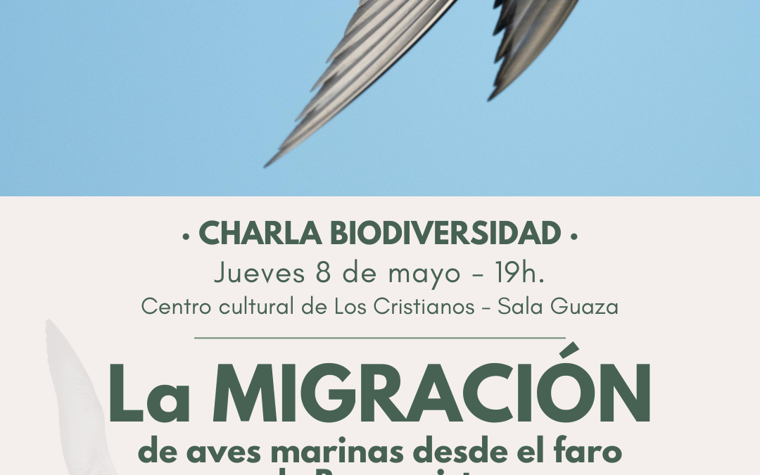 La migración de aves marinas en Canarias