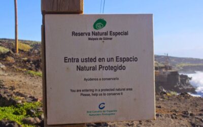 Red Canaria de Espacios Naturales Protegidos
