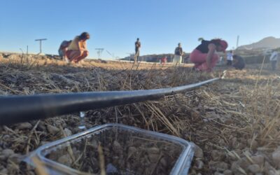 Taller de manejo eficiente del riego