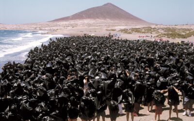 Carta abierta a la población canaria