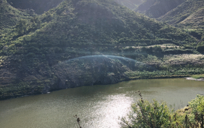 El agua en Canarias: educar para entender, cuidar y transformar