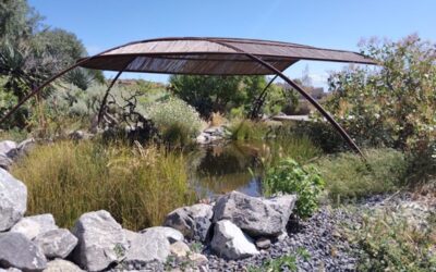 Proyecto Regenerativo Finca Tamaide, una experiencia de éxito las medianías de Canarias