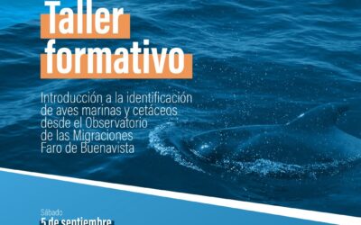 Aves marinas y cetáceos: un taller para aprender a identificarlos desde el Faro de Buenavista