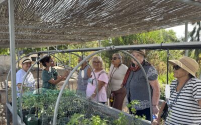 Las personas mayores de San Miguel de Abona comparten su saber sobre la penca y la cochinilla en Finca Tamaide