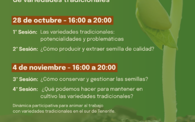 Taller de multiplicación de semillas de variedades tradicionales en el sur de Tenerife